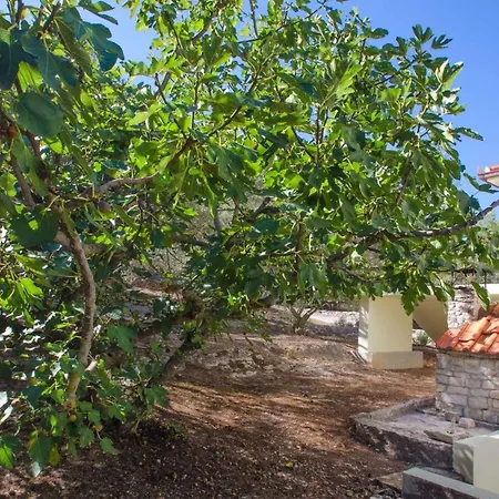 In Blato Insel Korcula 6411 *