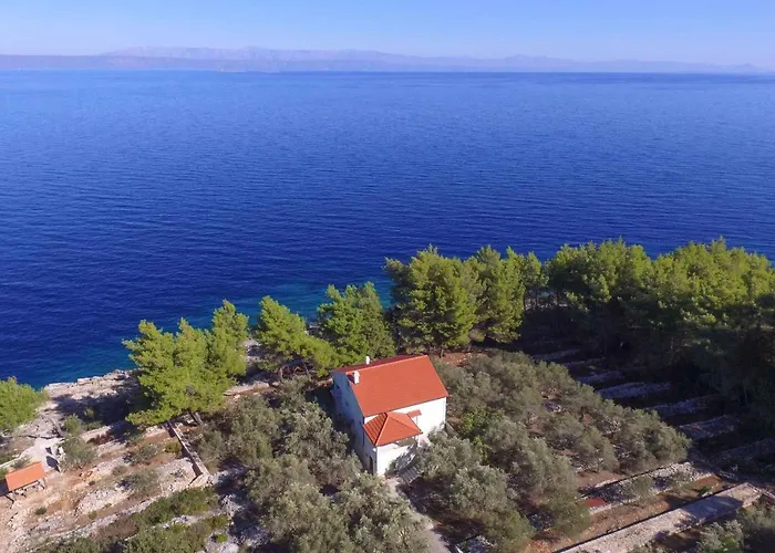 In Blato Insel Korcula 6411 Prigradica